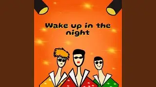 Wake Up In The Night