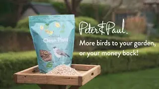 Peter & Paul Wild Bird Food Clean Plate
