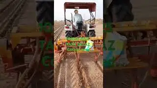 TATA DIGAZ COTTON SEED #duet #natural #facts