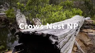 Crows Nest National Park || Queensland || Australia