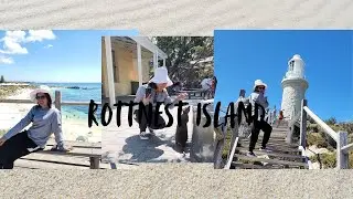 Rottnest Island #westernaustralia #perth #australia #rottnestisland