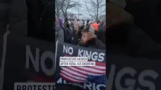 Protesters gather in US cities after fatal ICE shooting