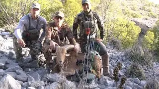 Rancho Don Pedro Audad hunt  JASON ACORN