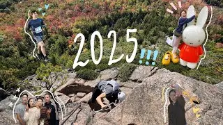 2025 in review 