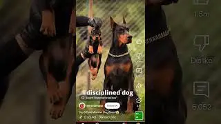 5 powerful dog of india #pitbull #americanbully #knowledge #animals #new #viralshortvideo #doberman