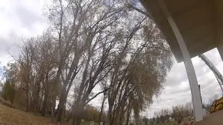 Bozeman Tree Removal