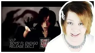 MUSIC VIDEO TEASER | V.I.P x ENDIGO