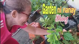 Garden ni Nanay Bhing #GardenIdeasAtHome
