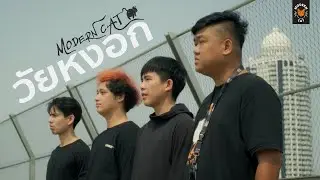 Modern Cat - วัยหงอก【Official Music Video】
