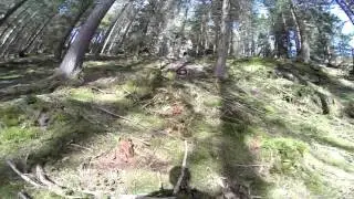 Dunkeld 9.8 Crash