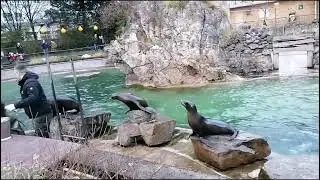 Cologne Zoo 20240101
