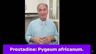 🌿 Prostadine Review &ndash; Pygeum africanum for Prostate Support