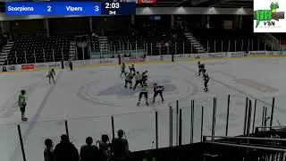 Scorpions vs Vipers