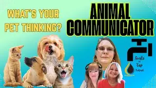 Animal Communicator Can Tell You What Your Pet Is Thinking