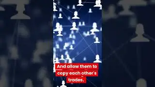 Social Trading Platform