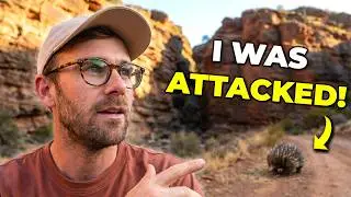 Spend 2 Days Exploring the Flinders Ranges With Me