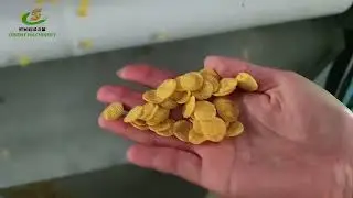Breakfast corn flakes line #foodmachinery #foodequipment #cornflakes #snackmachine #packingmachine