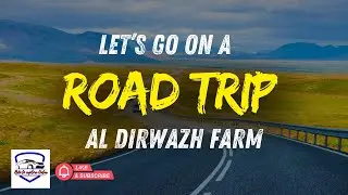 Way to Al Dirwazh Farm | Ride to Explore Qatar | Scenic Drives, City Rides & Hidden Places in Qatar