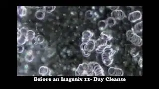 Cellular Cleansing Explained