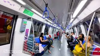 Experience the BEST of Singapore's Night Walk in Just 1 Hour