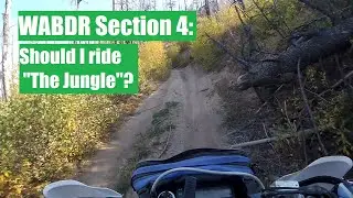 WABDR Section 4: 