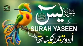 Surah Yasin with Urdu Translation | Heart of the Quran | Full Beautiful Recitation قاري منصور غزنوي 