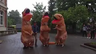 BAC Video 2019