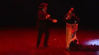 ZAMBRA 