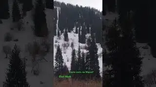 Фантазии или реальнось?!! fantasy or reality  #природныепейзажи #elonmusk #snow #forest #space