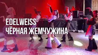 EDELWEISS – Чёрная жемчужина [ASIA ZONE | SPRING TIME]