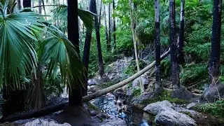 Zebedee Springs - El Questro Station - The Kimberleys