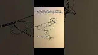 How do I draw animals???😭