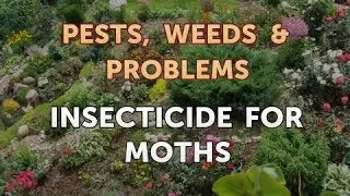 Insecticide for Moths