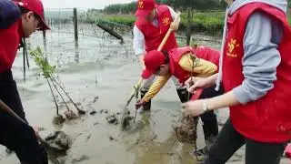 China Makes Great Strides in Human-Nature Harmony Via Intense Eco-Restoration