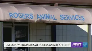NWA Animal Shelter Offering Low adoption rates to reduce overcrowding