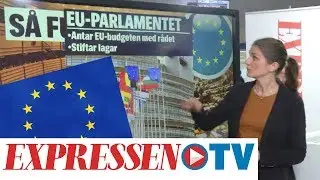 S&aring; fungerar europeiska unionen
