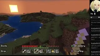First Minecraft Adventure: Decidedly Mixed
