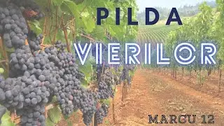Marcu 12 p1 PILDA VIERILOR  Explicatii din cultura EVREIASCA