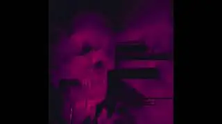 Viliam Lane - Oddities