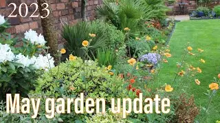 May garden tour Spring update UK in My walled garden 2023 flowers & shrubs