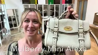 Mulberry Mini Alexa Review