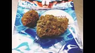 Red Congolese Review