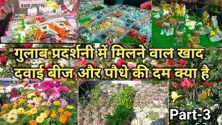गुलाब प्रदर्शनी में मिलने वाले खाद, दवाई, बीज और कौन से पौधे इस समय मिल रहा है और उसकी कीमत‌ क्या है