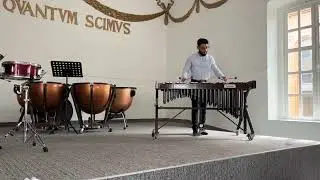 Soaring In The Sky - Jan Freicher (vibraphone solo)