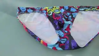 Lucidity brief - REF. 040511