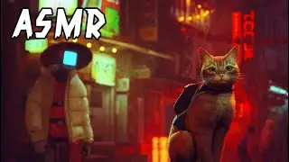 ASMR With Kitty Cats | Let's Play Stray