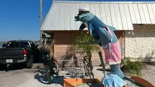 17735 Gulf Blvd #202, Redington Shores 33708