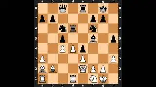 Ildar Ibragimov(2580) vs Robert Zelcic(2500) | Event: Graz op | 1995.??.??