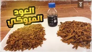 العود المروكي