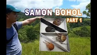 Samon Spider Hunting Bohol